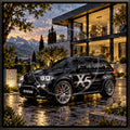 Fan de X5