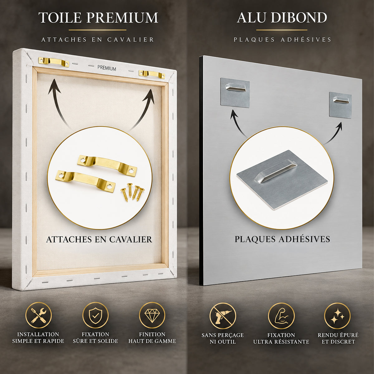 Fan de X5