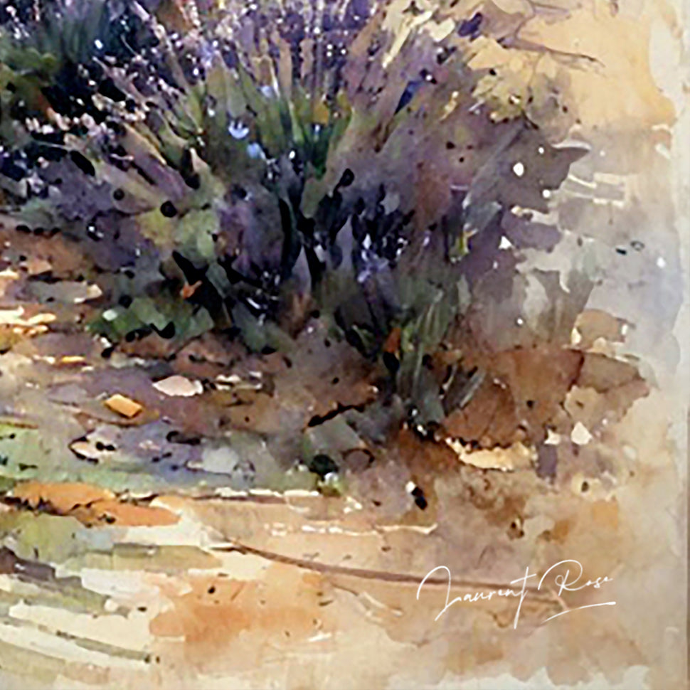 Lumière Provençal