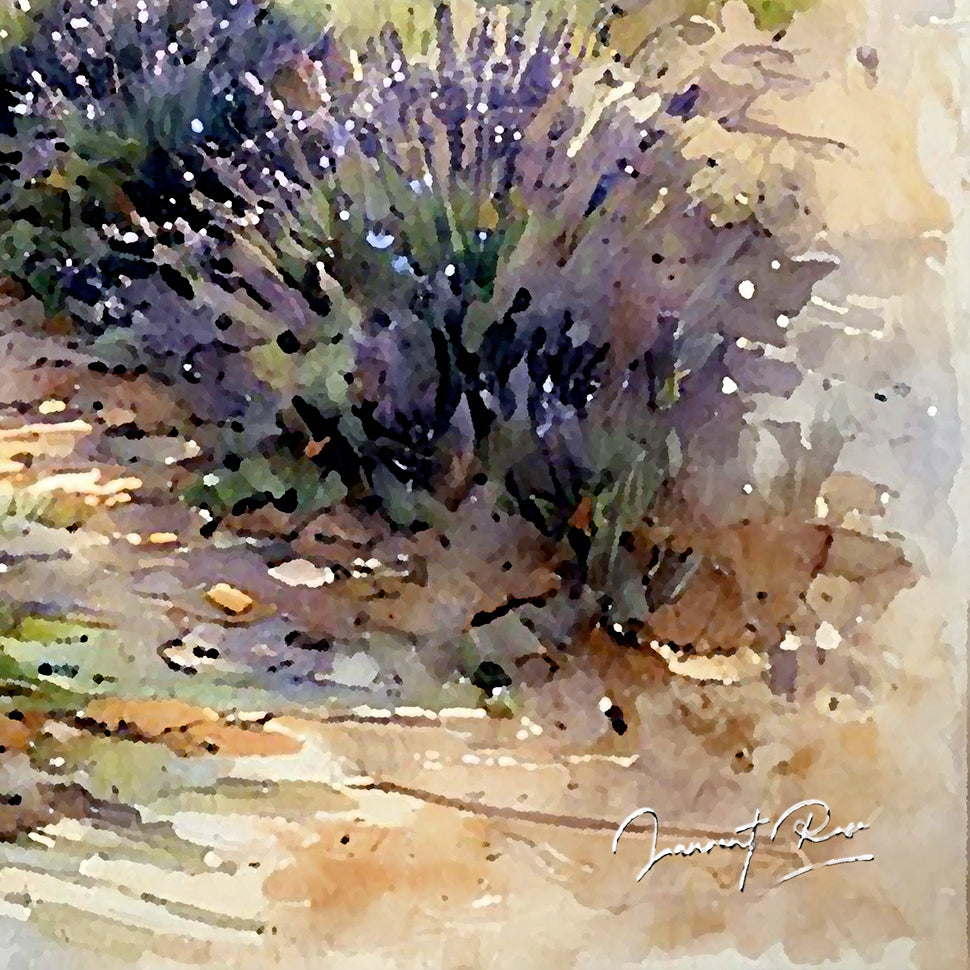 Lumière Provençal
