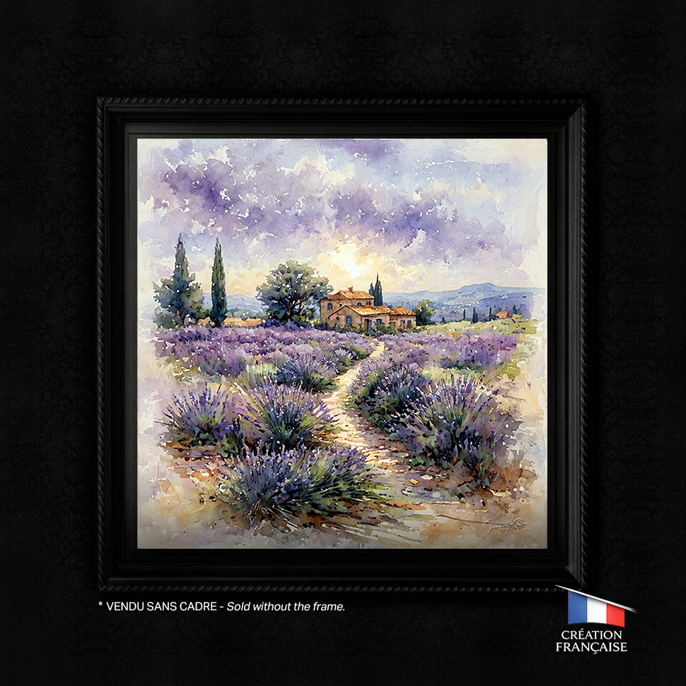 Lumière Provençal
